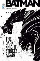 Batman : The dark knight strikes again