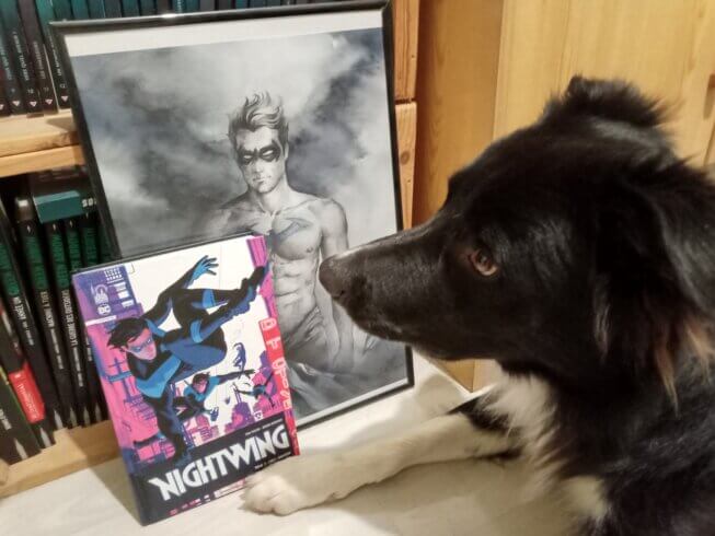 Review de Nightwing Infinite – Tome 2 : Cible : Grayson